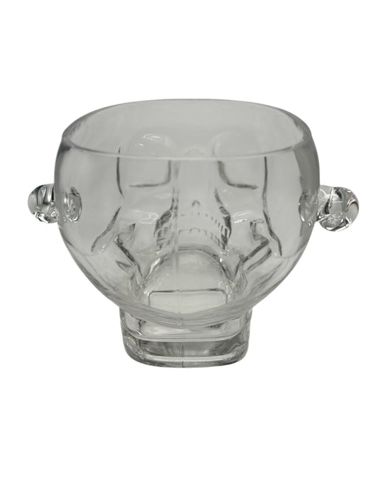 Brain freeze Skull Ice Bucket