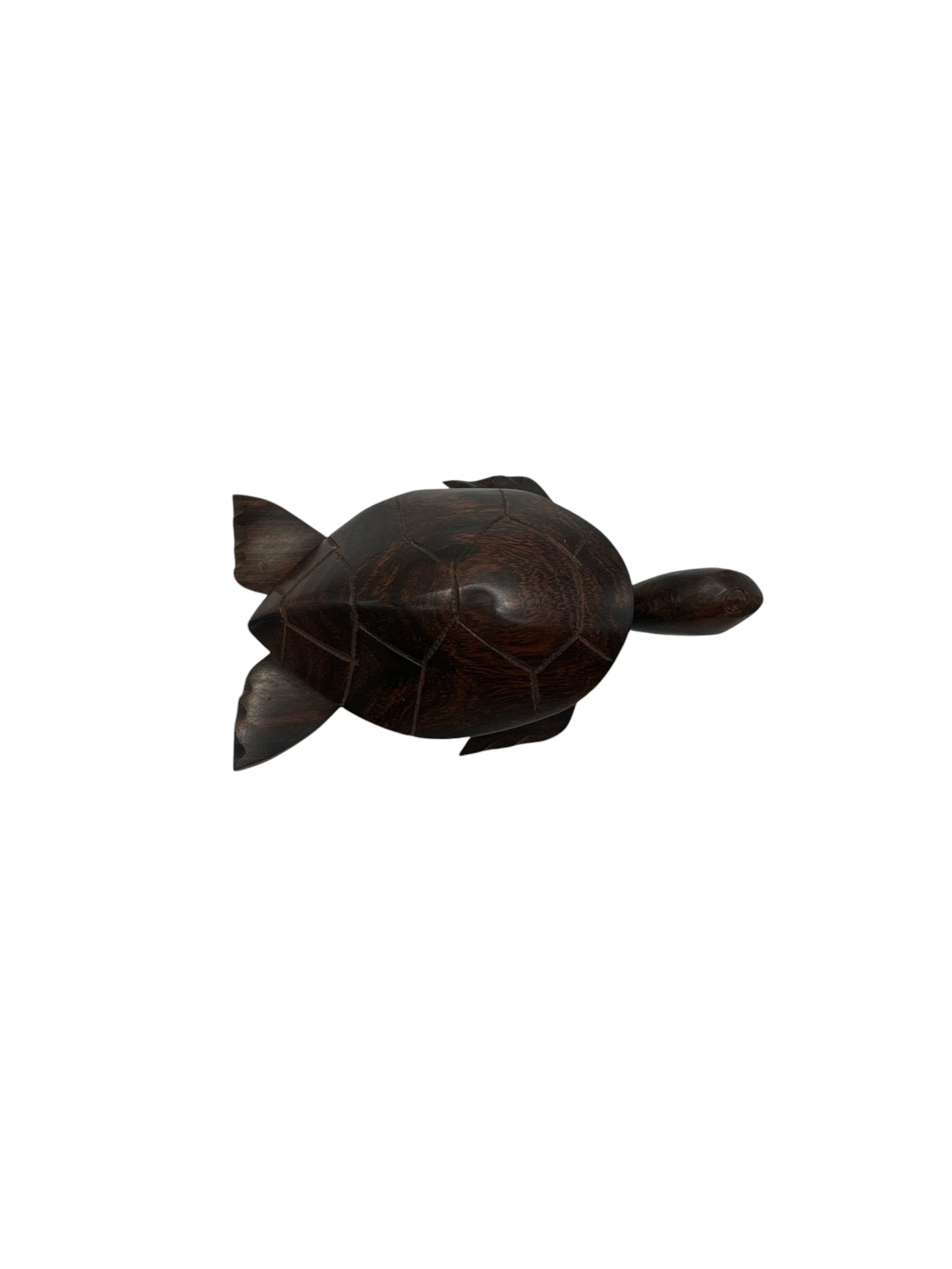 Ironwood Sea Turtle