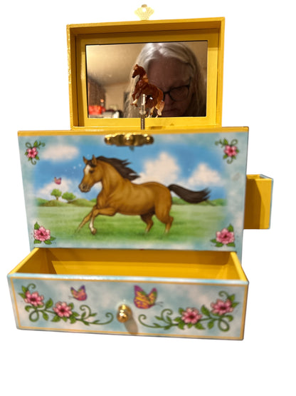 Musical Jewelry Box Wild and Free