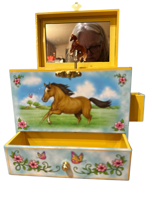 Musical Jewelry Box Wild and Free