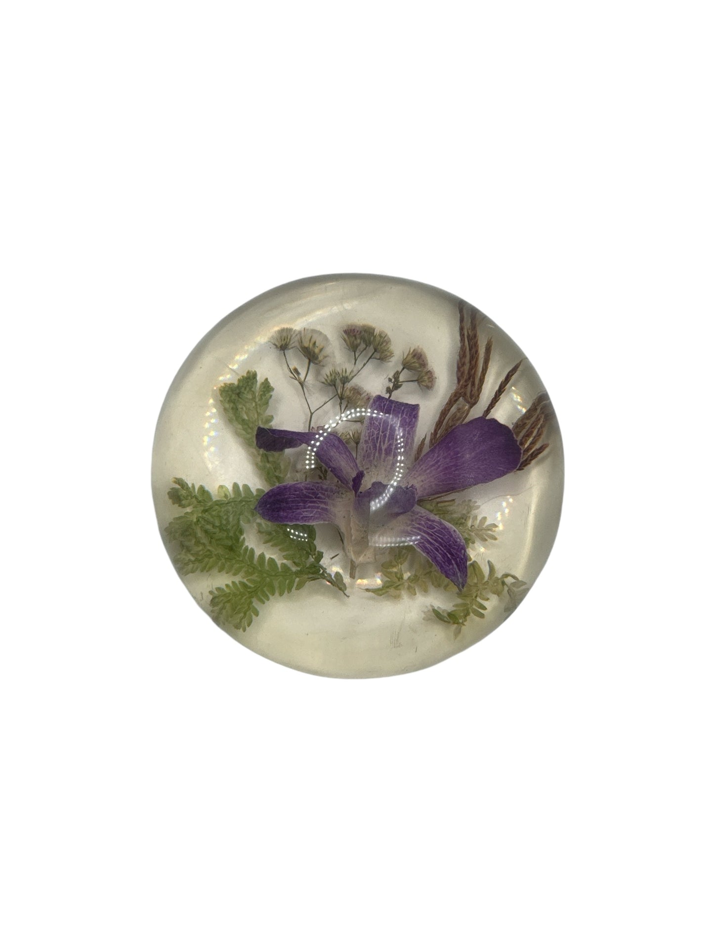 Resin Paperweight
