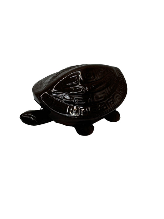Nodder Turtle