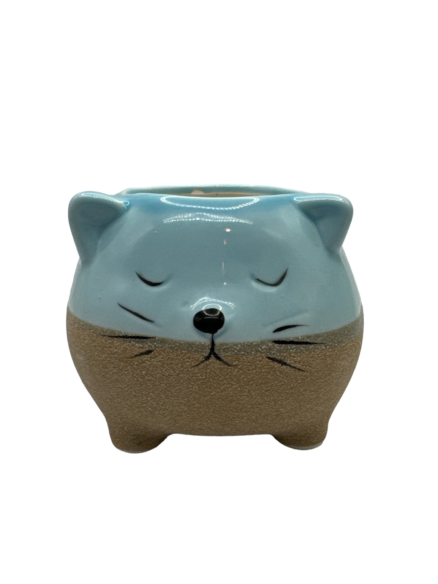 Ceramic Cat Planter